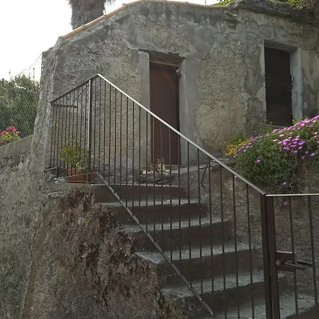 Il Nido *